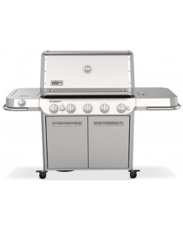 Barbacoa Weber Summit FS38 S