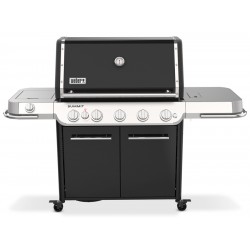 Barbacoa Weber Summit FS38 E