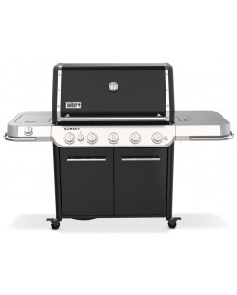 Barbacoa Weber Summit FS38 E