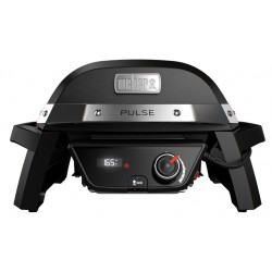 Weber Pulse 1000